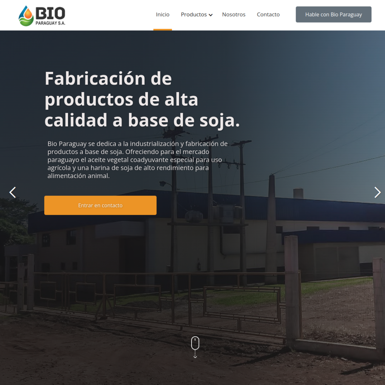 Bio Paraguay S.A.