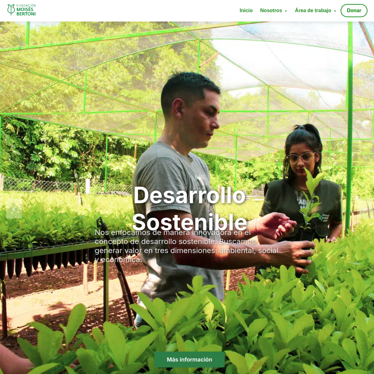 Fundación Moises Bertoni